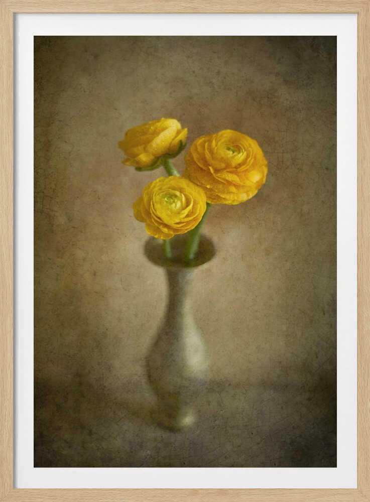 Yellow buttercups | Poster