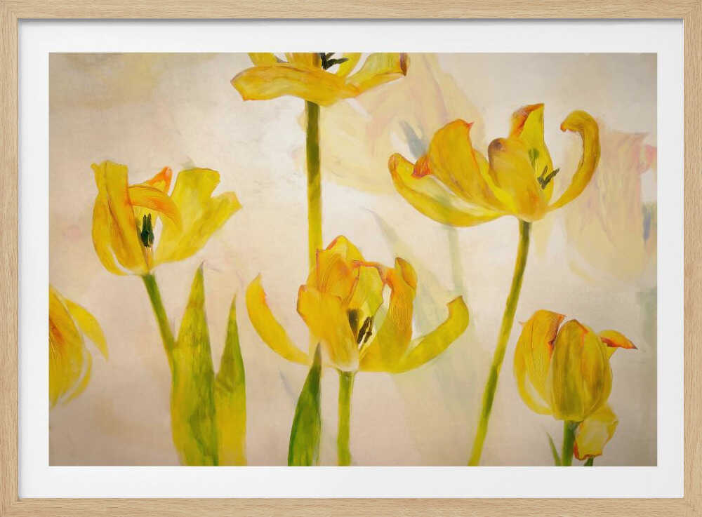 Blühende Tulpen | Poster