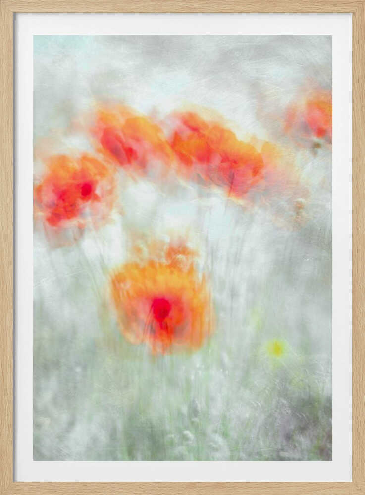 Fleurs de bleuet rouges | Affiche