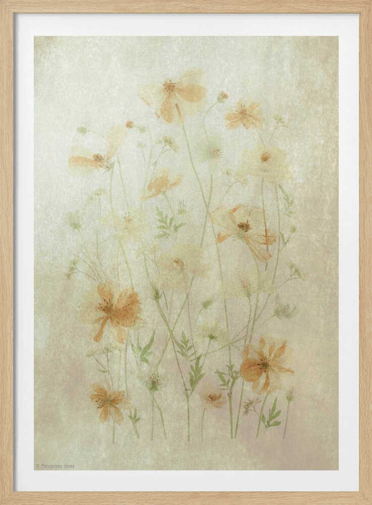 Yellow Cosmos | Poster