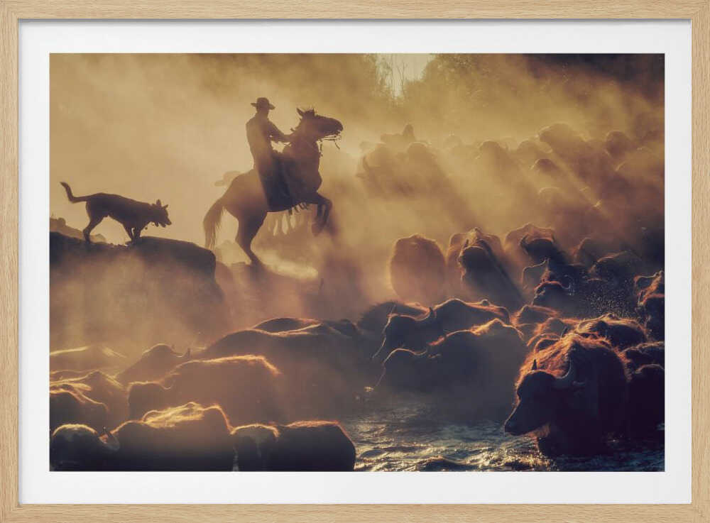 The buffalo shepherd | Poster