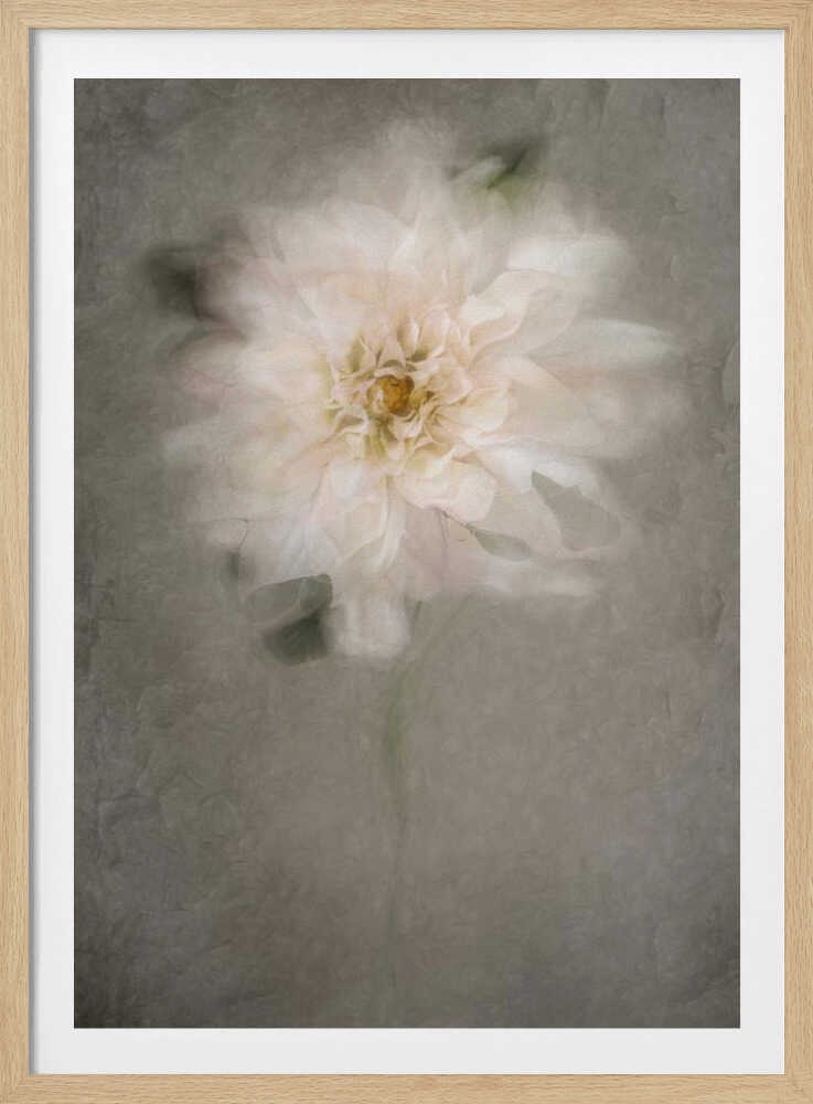 For the Bride | Poster