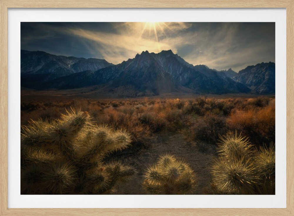 Golden cactus | Poster