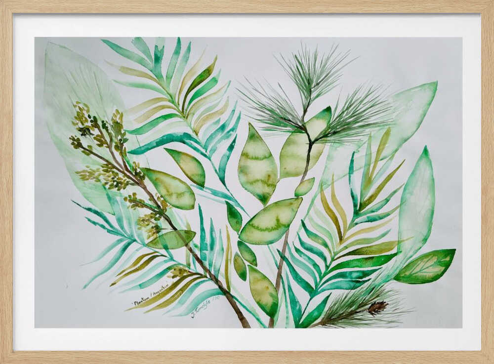 Plantum Argentum | Poster