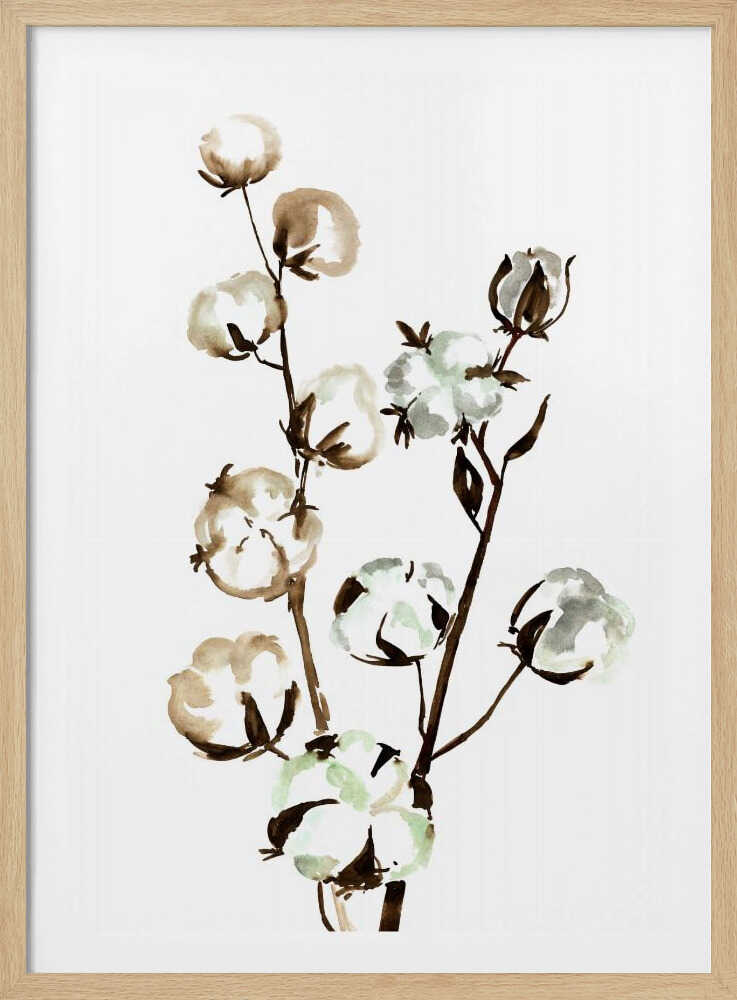 Watercolor cotton branch II | Poster
