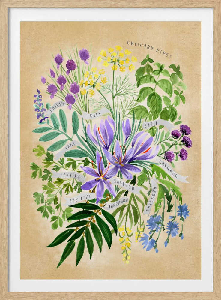 Herbes culinaires en sépia vintage | Affiche