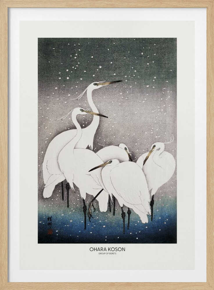 Group Of Egrets | Poster