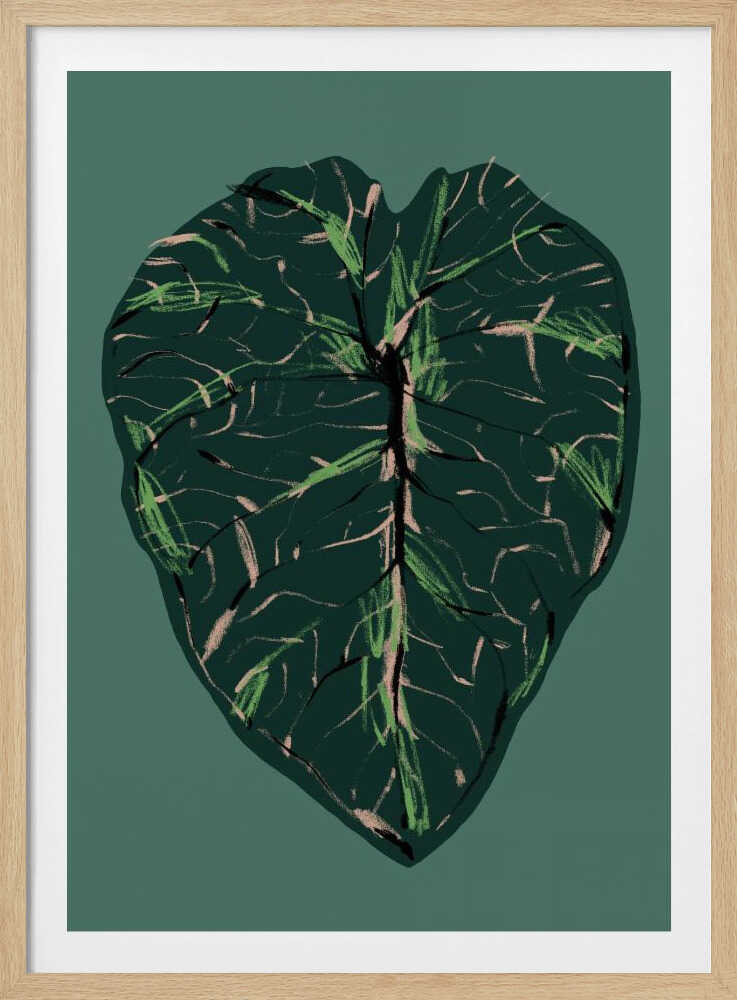 Alocasia Melo Dark | Poster