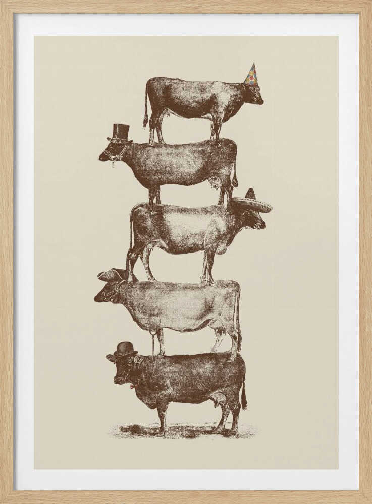 Cow Cow Nuts | Poster