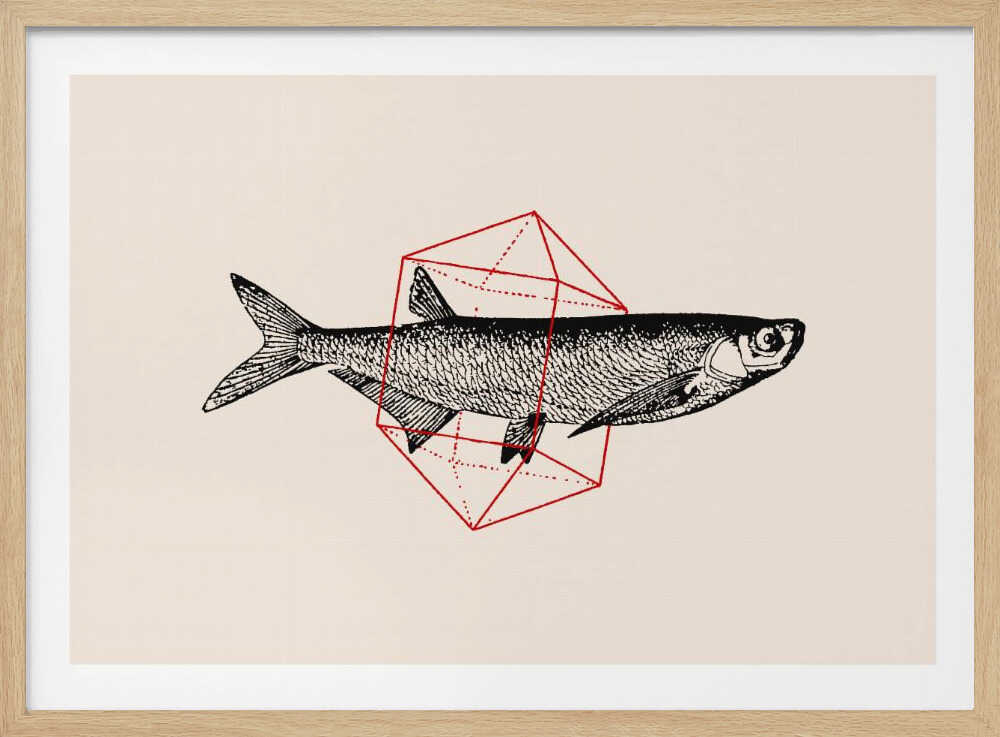Fish In Geometrics Nº2 | Poster