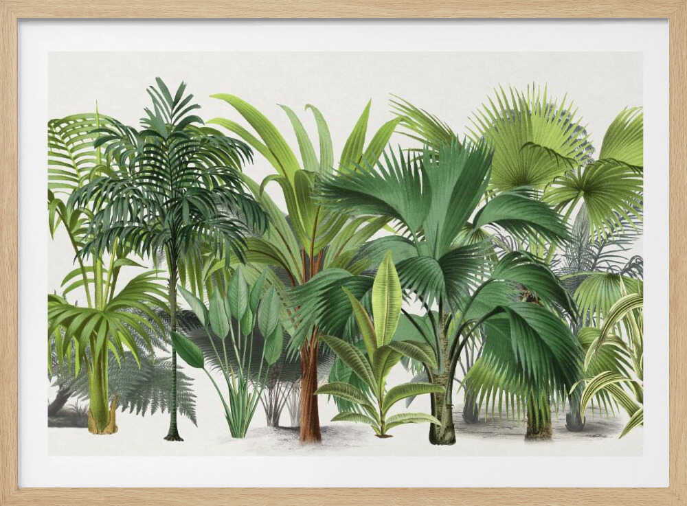 Exotic Wildlife 004 | Poster