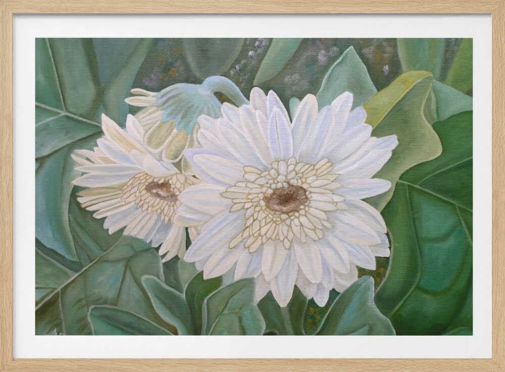 White Gerbera | Poster