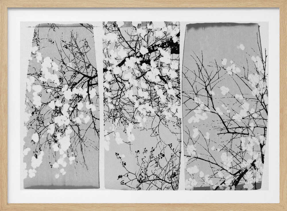 Oriental Blossom | Poster