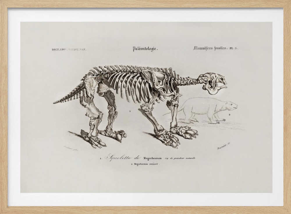 Megatherium | Poster