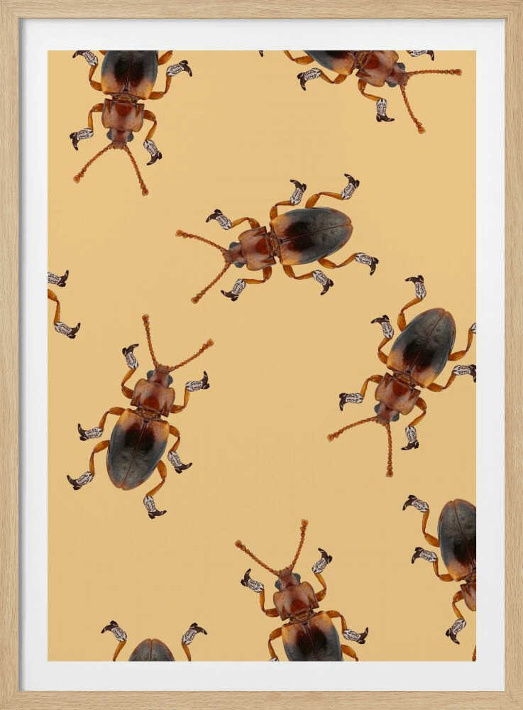 Billy, der Stiefelkäfer | Poster