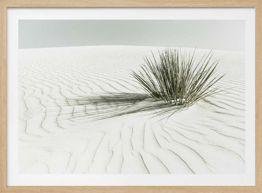 WHITE SANDS Vintage Dune | Poster