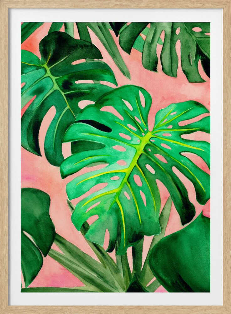 Monstera | Affiche