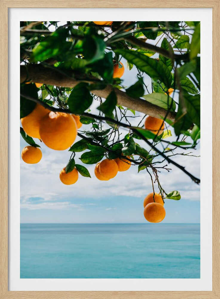 Amalfi Coast Oranges IV | Poster