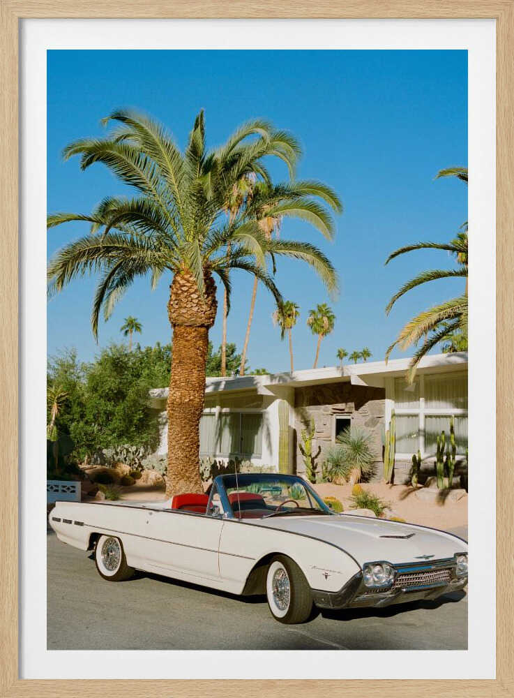 Palm Springs Thunderbird | Affiche