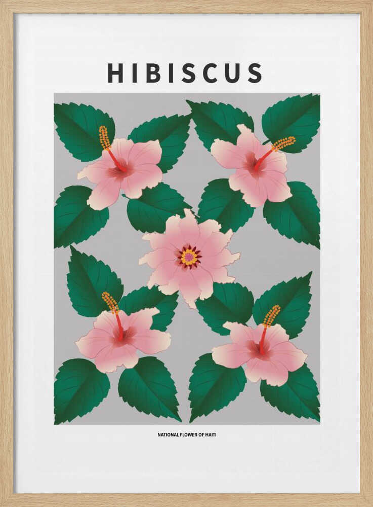 Hibiskus – Nationalblume Haitis | Poster