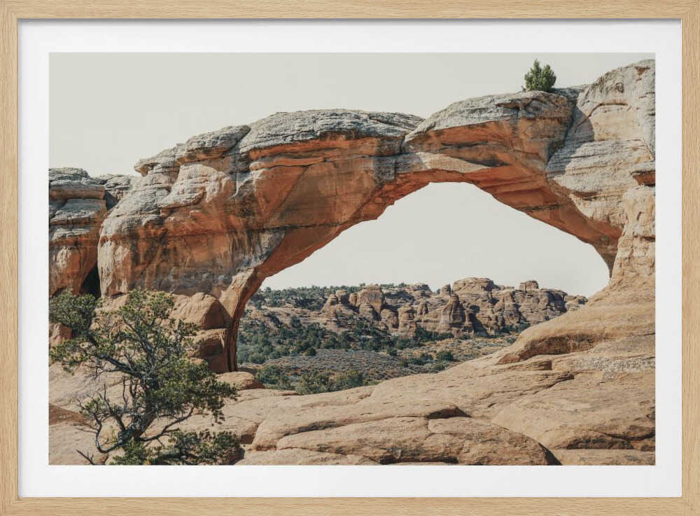 Vue vers l'ouest | Affiche