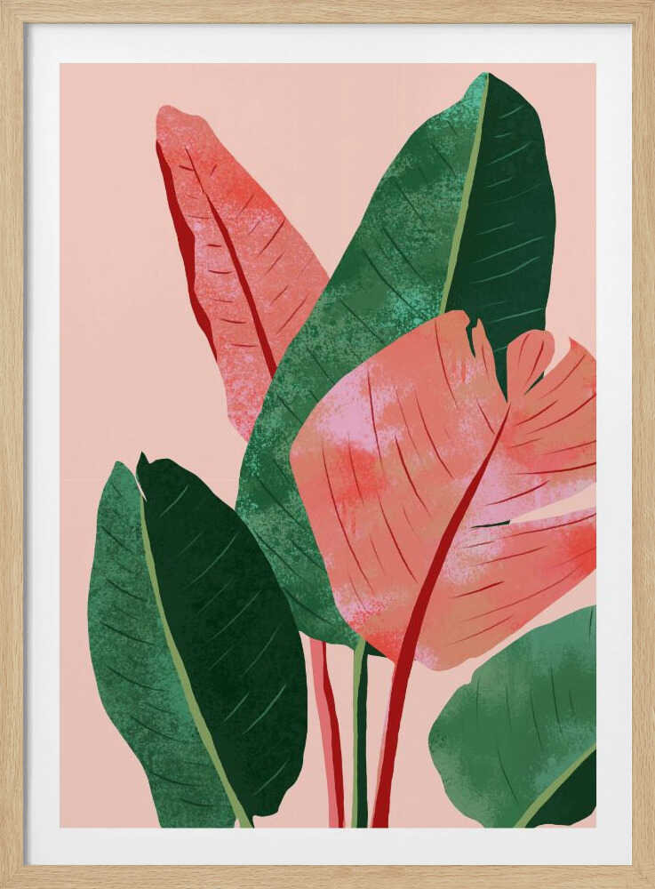 Blush Tropical | Affiche