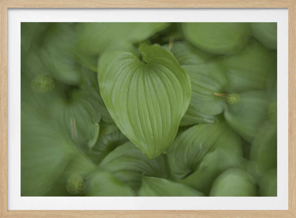 Nature paisible | Affiche