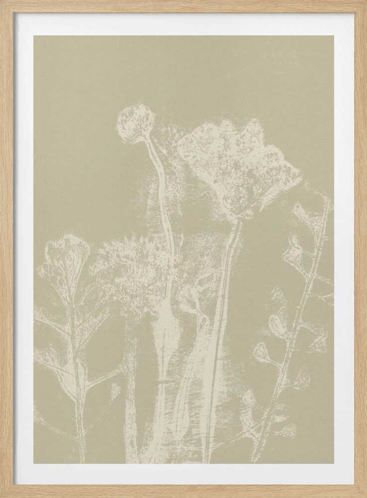 Motifs floraux abstraits. Plantes et fleurs blanches des prés sur fond beige neutre. | Affiche
