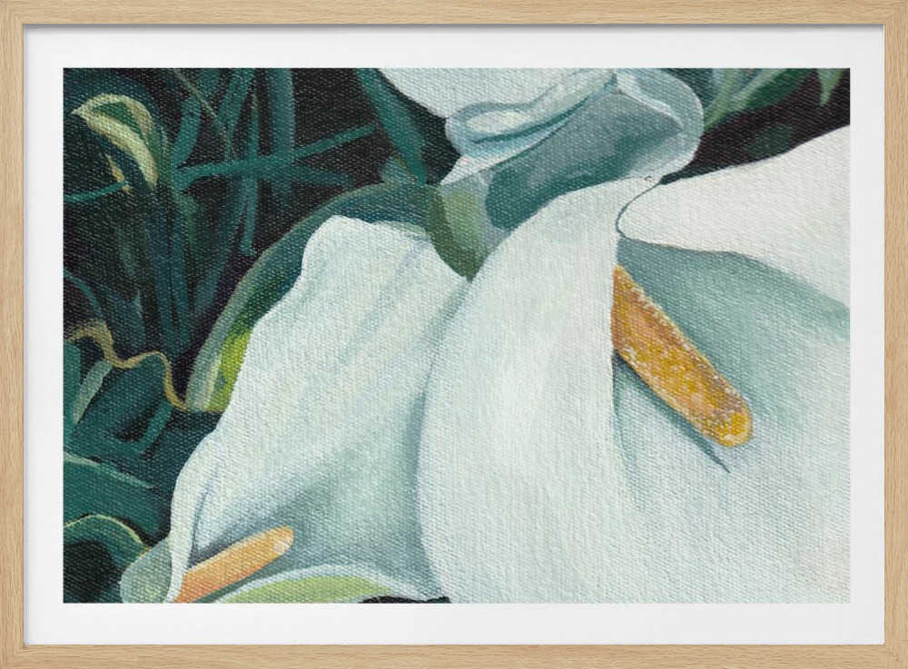 Small Arum 2 By Viccy Wanliss | Poster