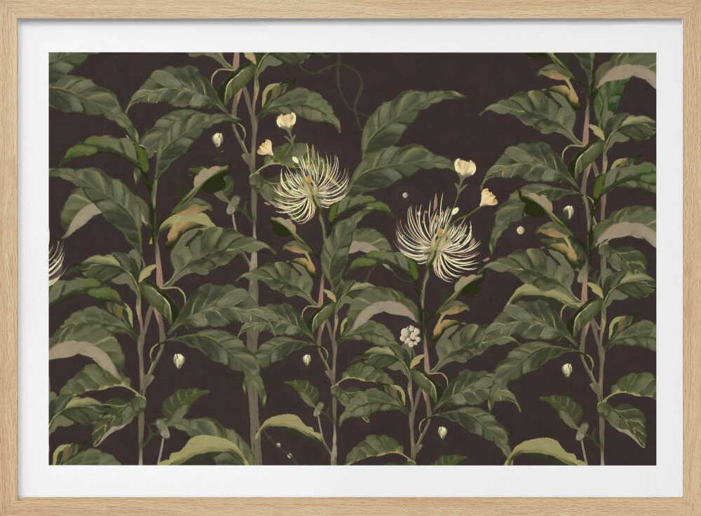 Sivera Midnight | Poster