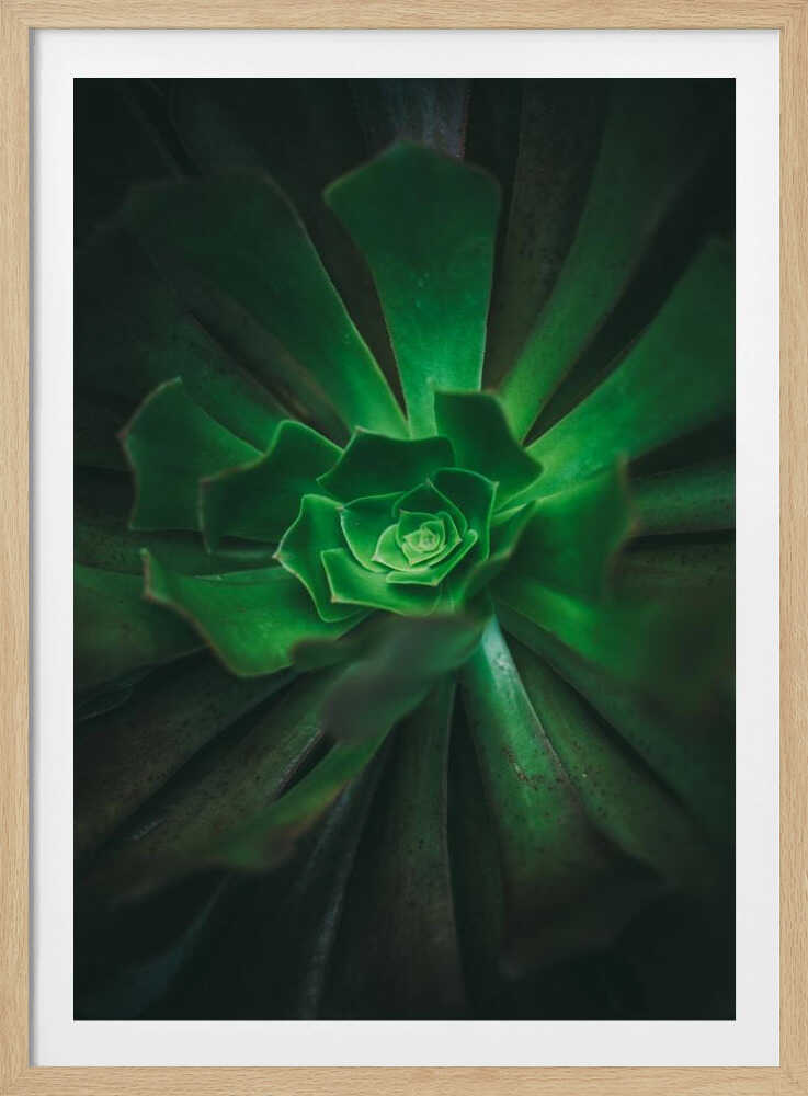 Green Spiral Bloom | Poster