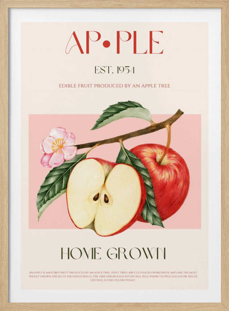 Pommes récoltées | Affiche