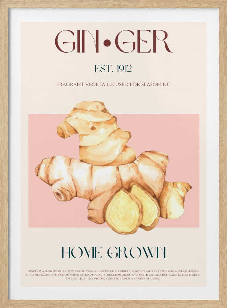 Illustration à l'aquarelle de gingembre | Affiche