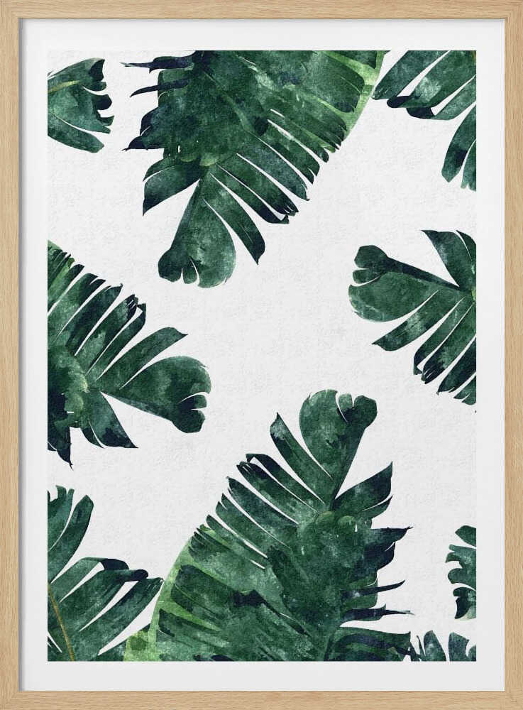 Aquarell-Bananenblatt | Poster