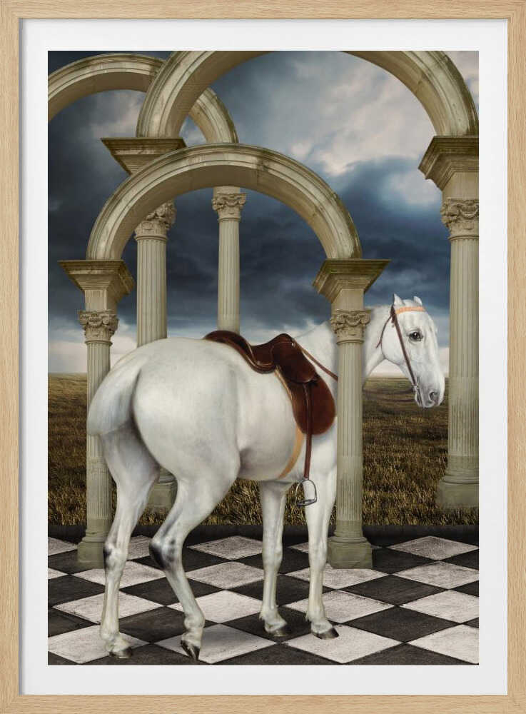 Graue Jägerin | Poster