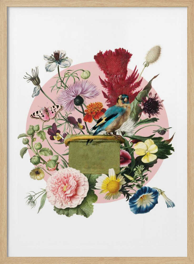 Colorful Bird Perched On A Box | Poster