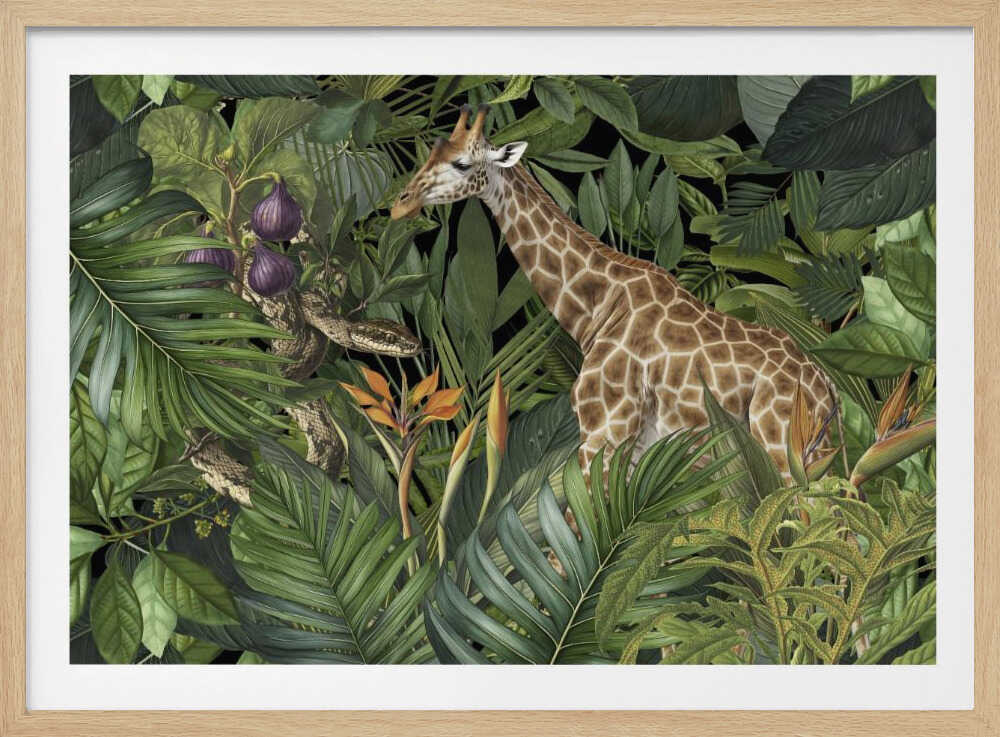 Giraffe and Snake | Poster