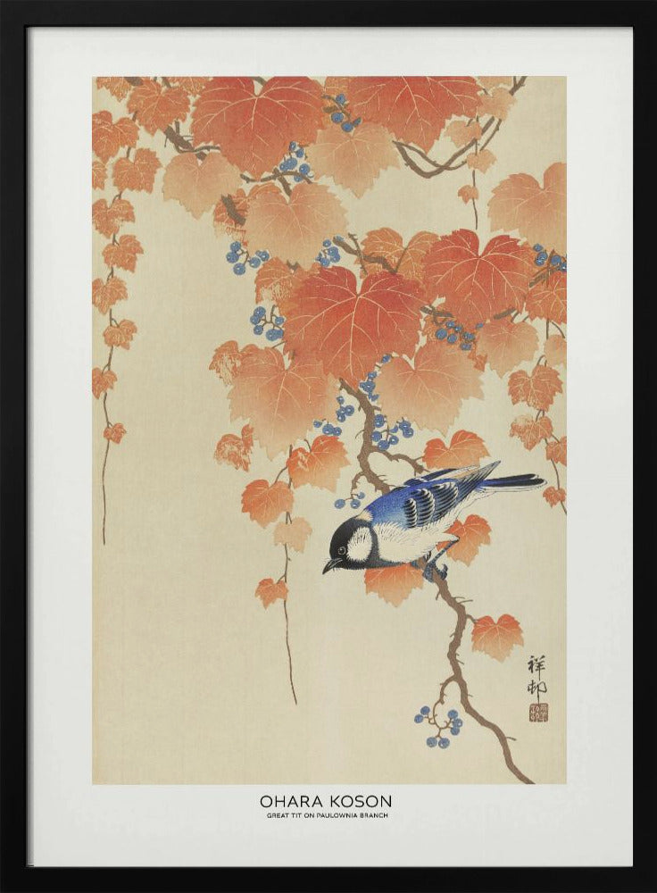 Great Tit On Paulownia Branch | Poster - Black Metal Frame Interior