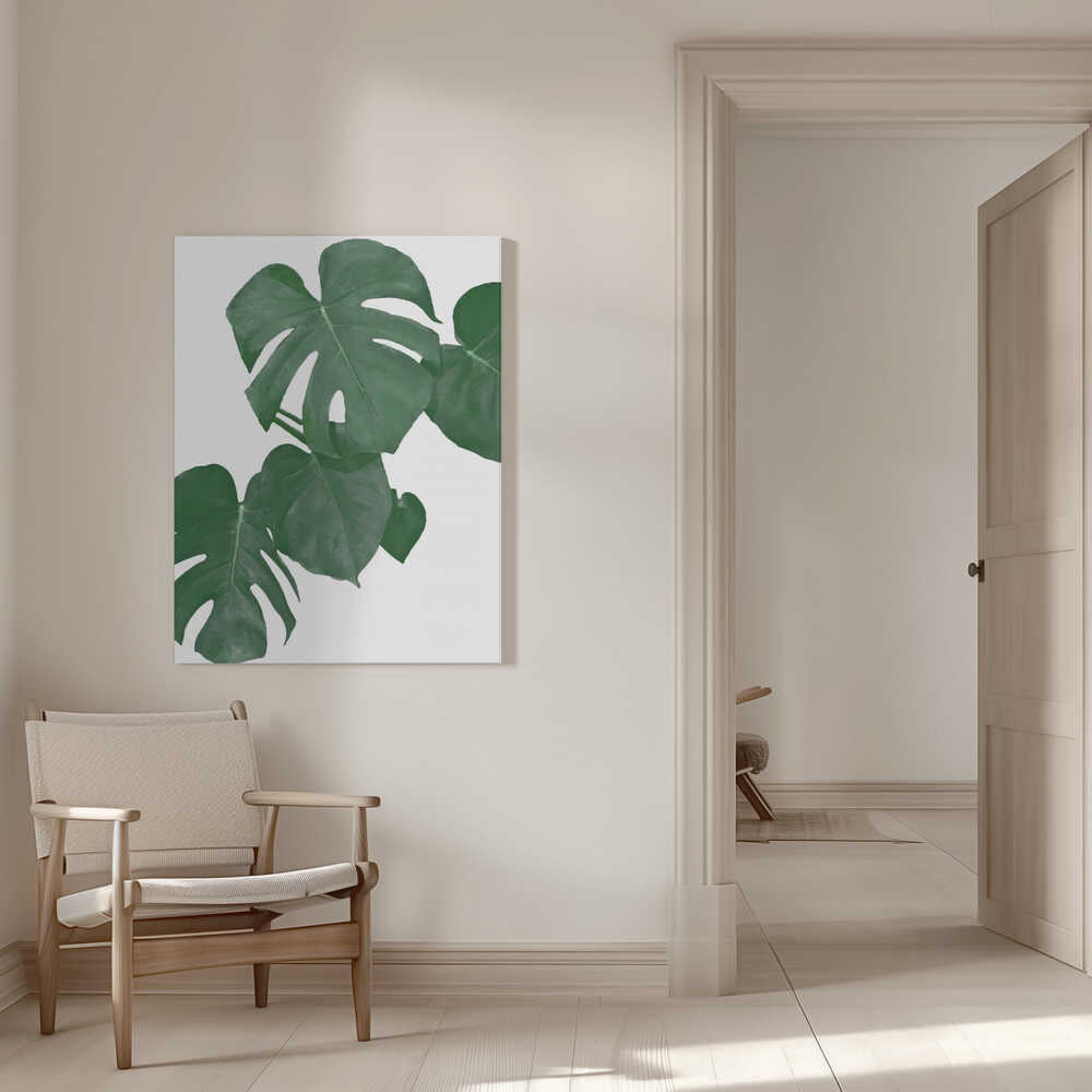 Monstera Aqua 01 | Leinwand