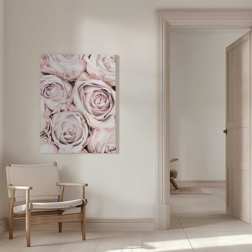 Rosa Rosen Nr. 01 | Leinwand