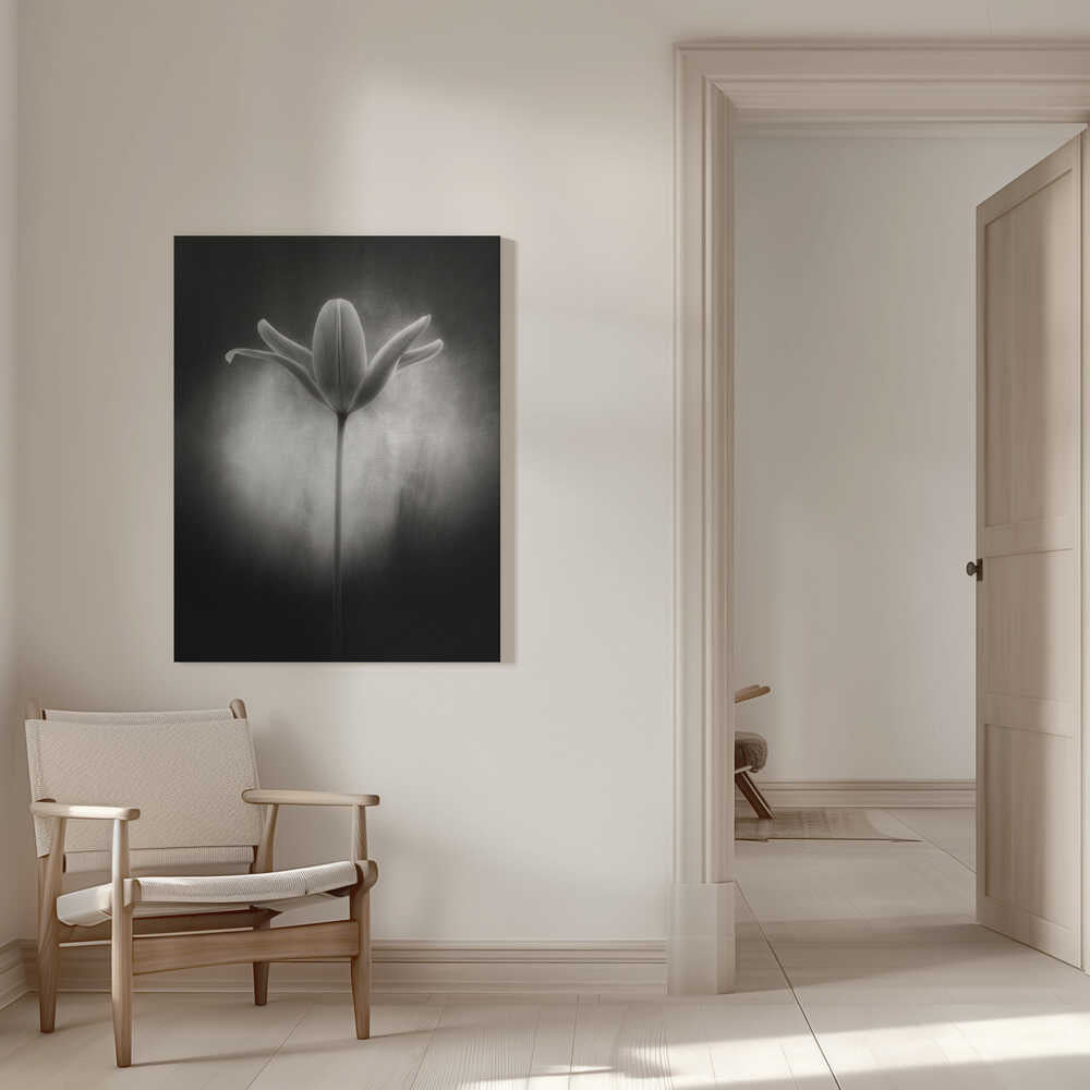 Tulip in black and white | Canvas