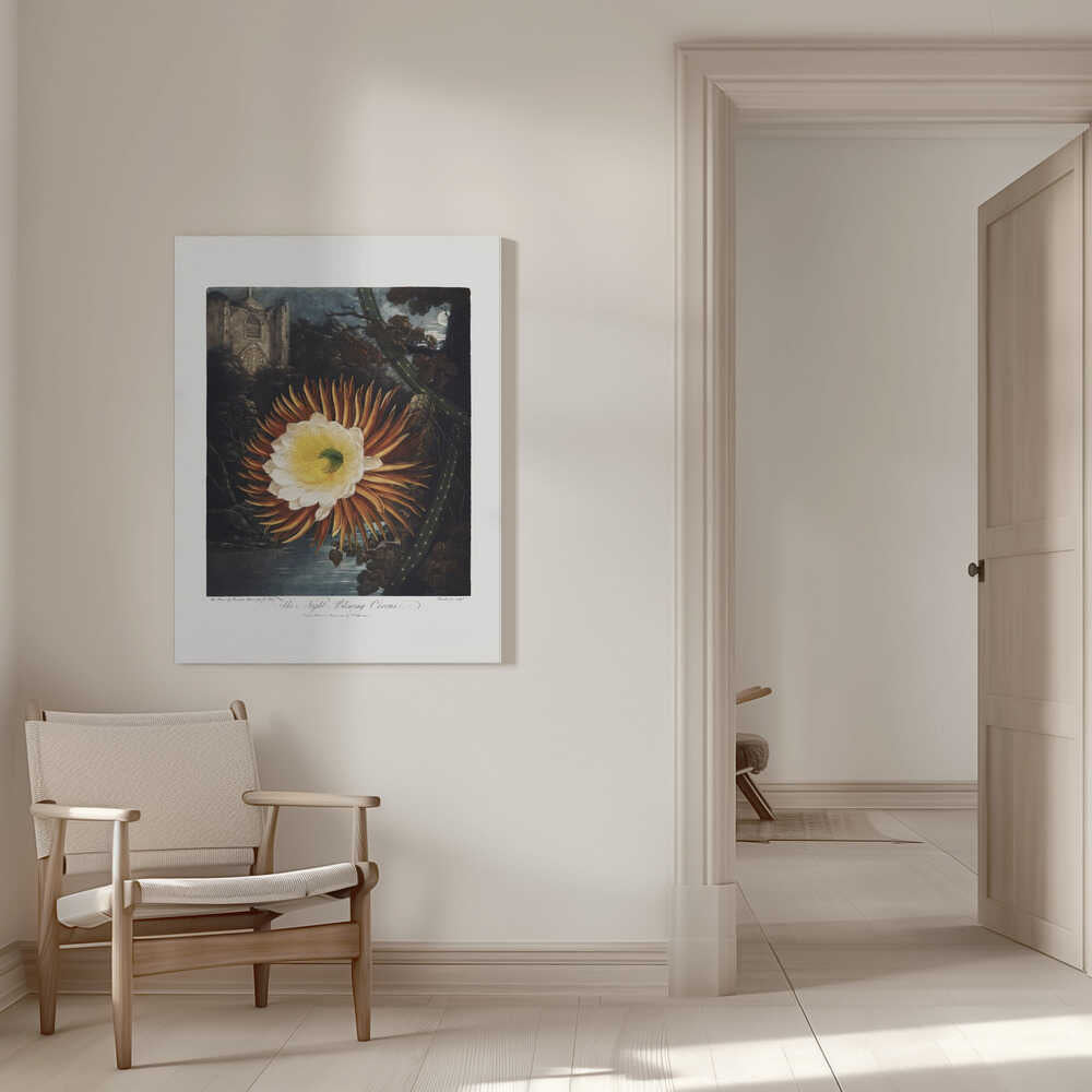 The Night–Blowing Cereus from The Temple of Flora (1807) | Canvas