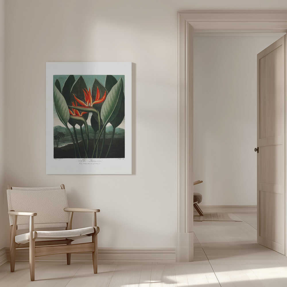 La Reine-Plante du Temple de Flore (1807) | Toile