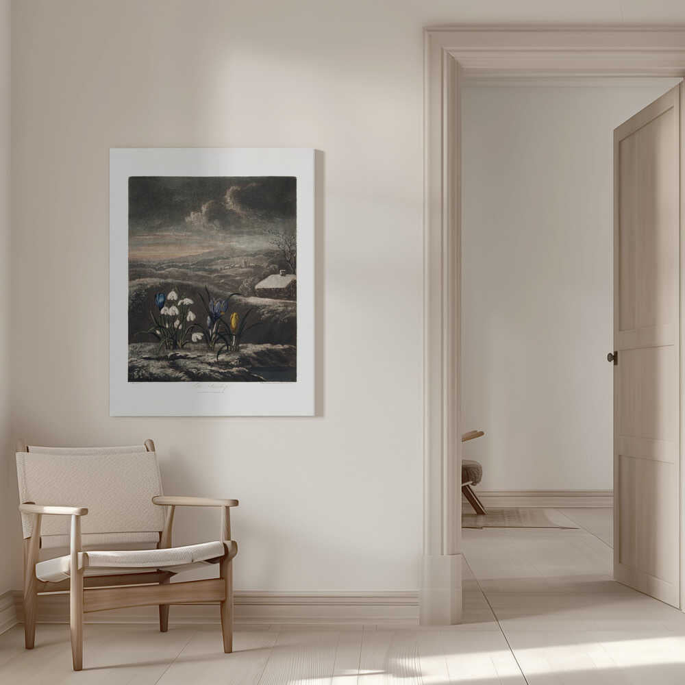 The Snowdrops from The Temple of Flora (1807) | Canvas