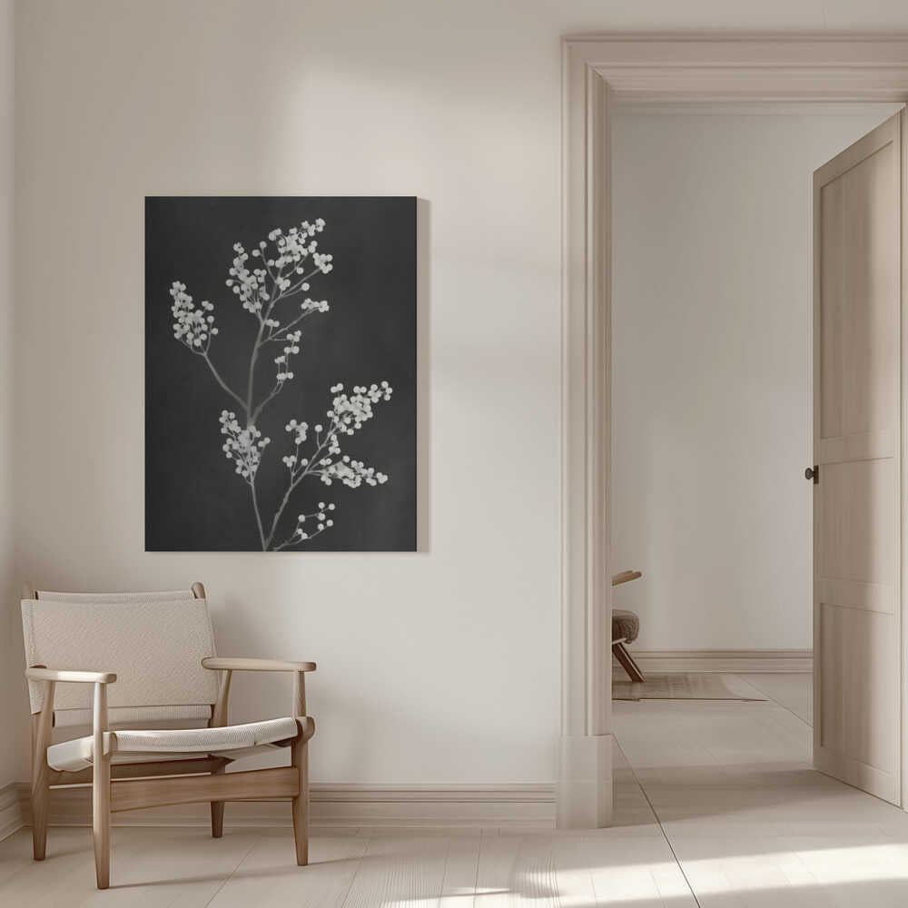 Monograph Black Flowers | Canvas
