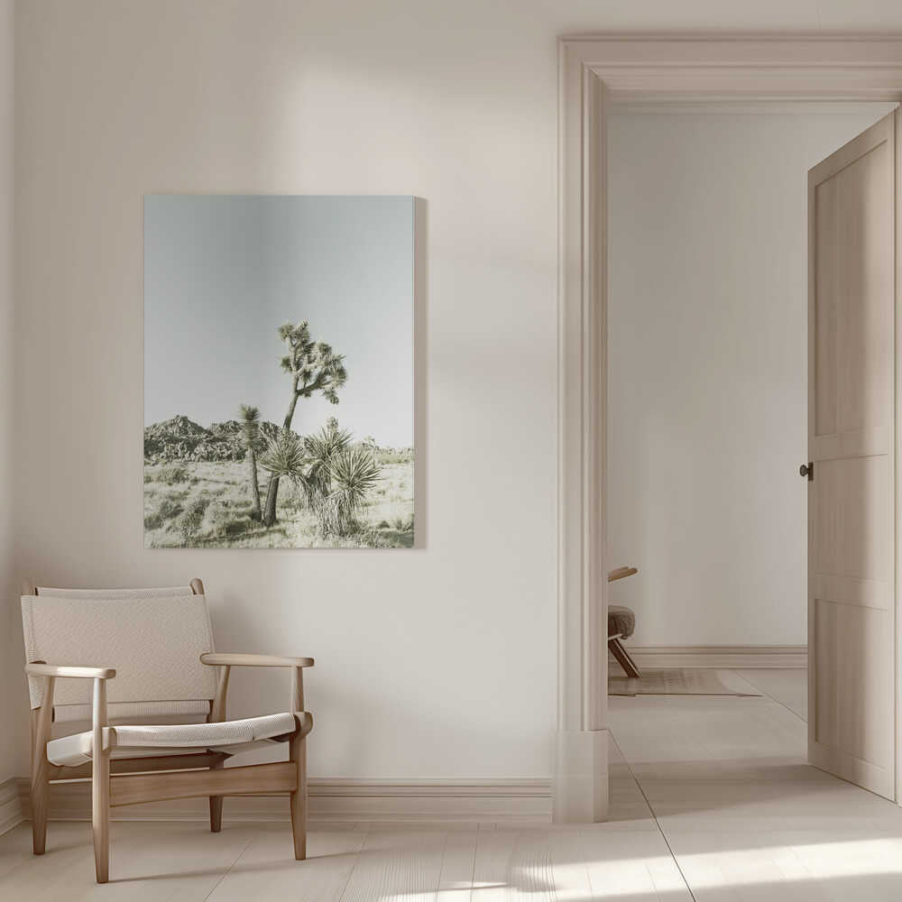 Impression vintage du parc national de Joshua Tree | Toile