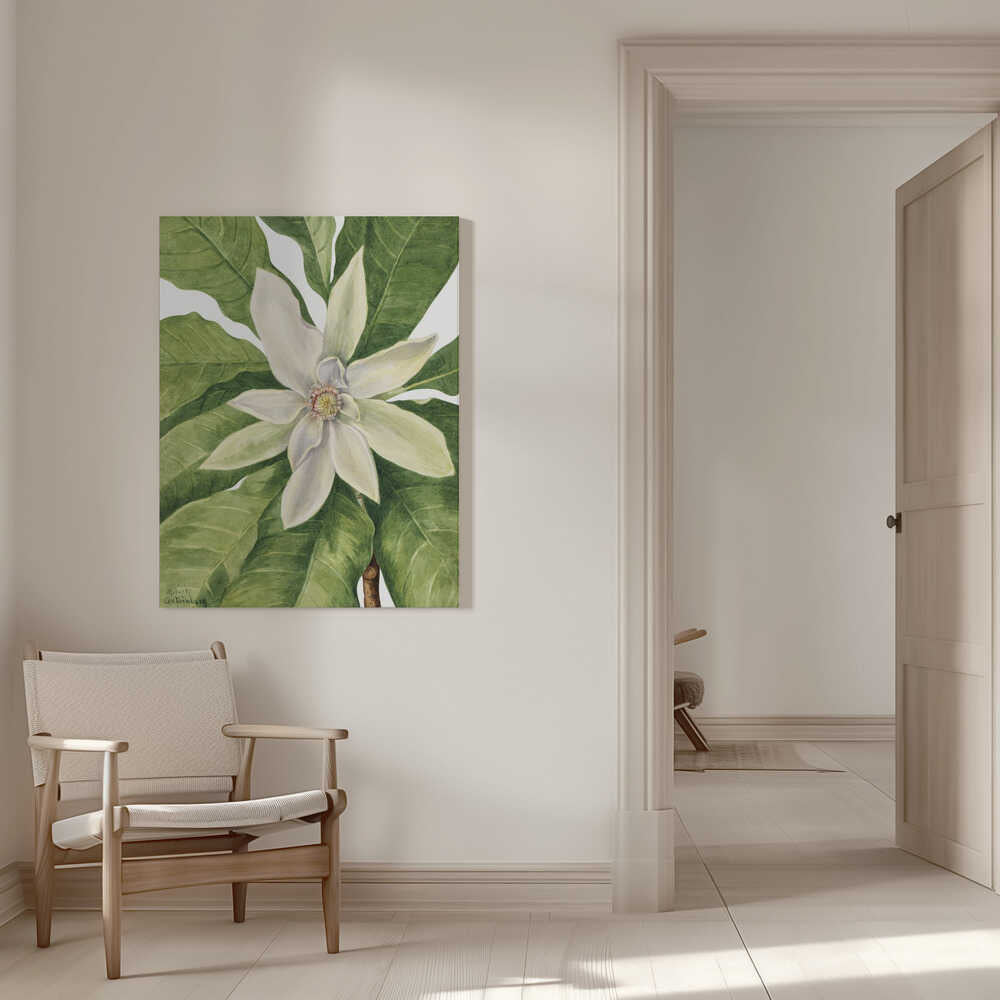 Umbrella Tree (1932) | Canvas