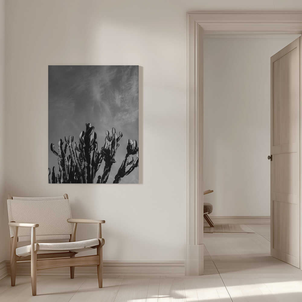 Monochromer Kaktushimmel | Leinwand