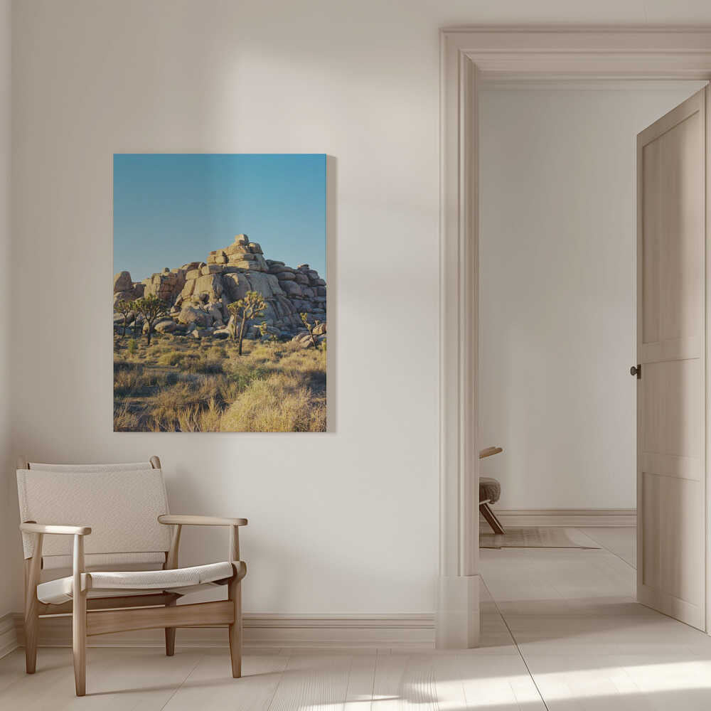 Sonnenuntergang im Joshua-Tree-Nationalpark | Leinwand