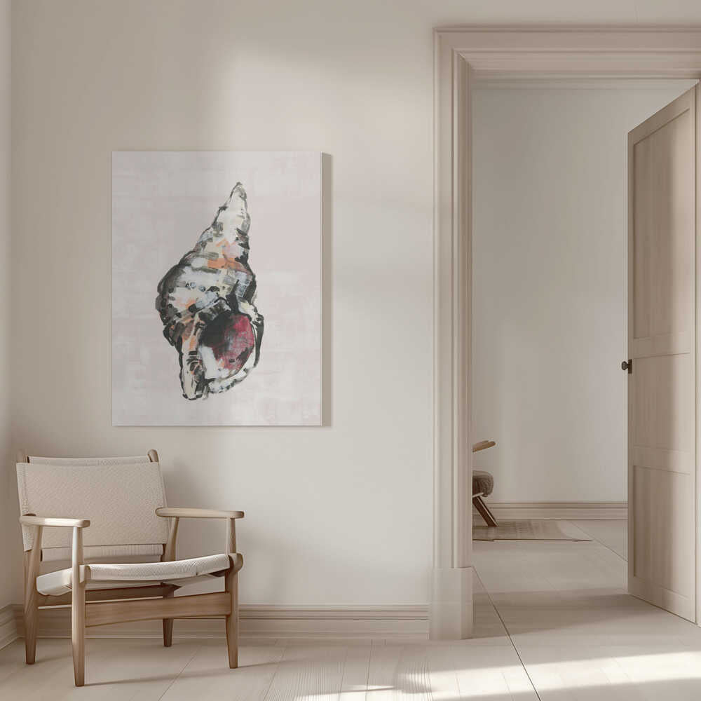 Shell Collector Art Print No 2 | Canvas